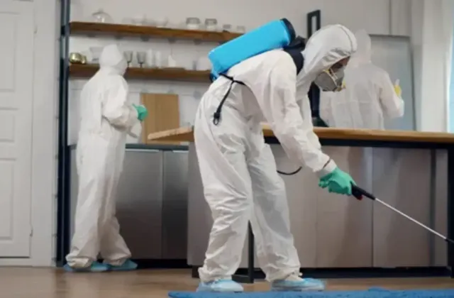 5 Proven Cost-Effective and Long-Term Pest Control Solutions
