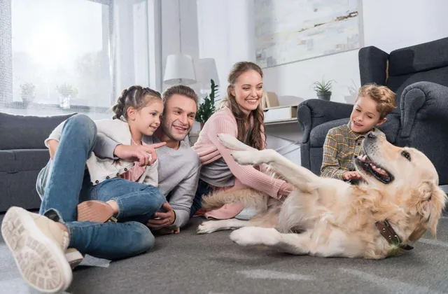 Family-Safe and Pet-Friendly Pest Control Treatments in Toronto
