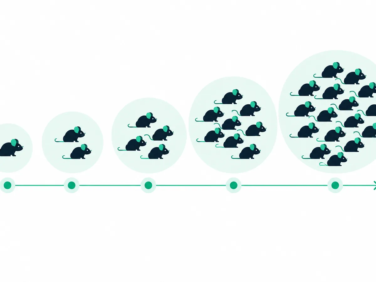 Mouse population growth timeline (illustrative, sourced) Mouse population growth timeline (illustrative, sourced)