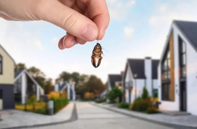 Tips for a Completely Pest-Free Home in Scarborough