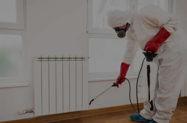 Want a Pest-Free Home? Try These Lasting Solutions