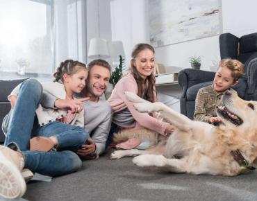 Family-Safe and Pet-Friendly Pest Control Treatments in Toronto