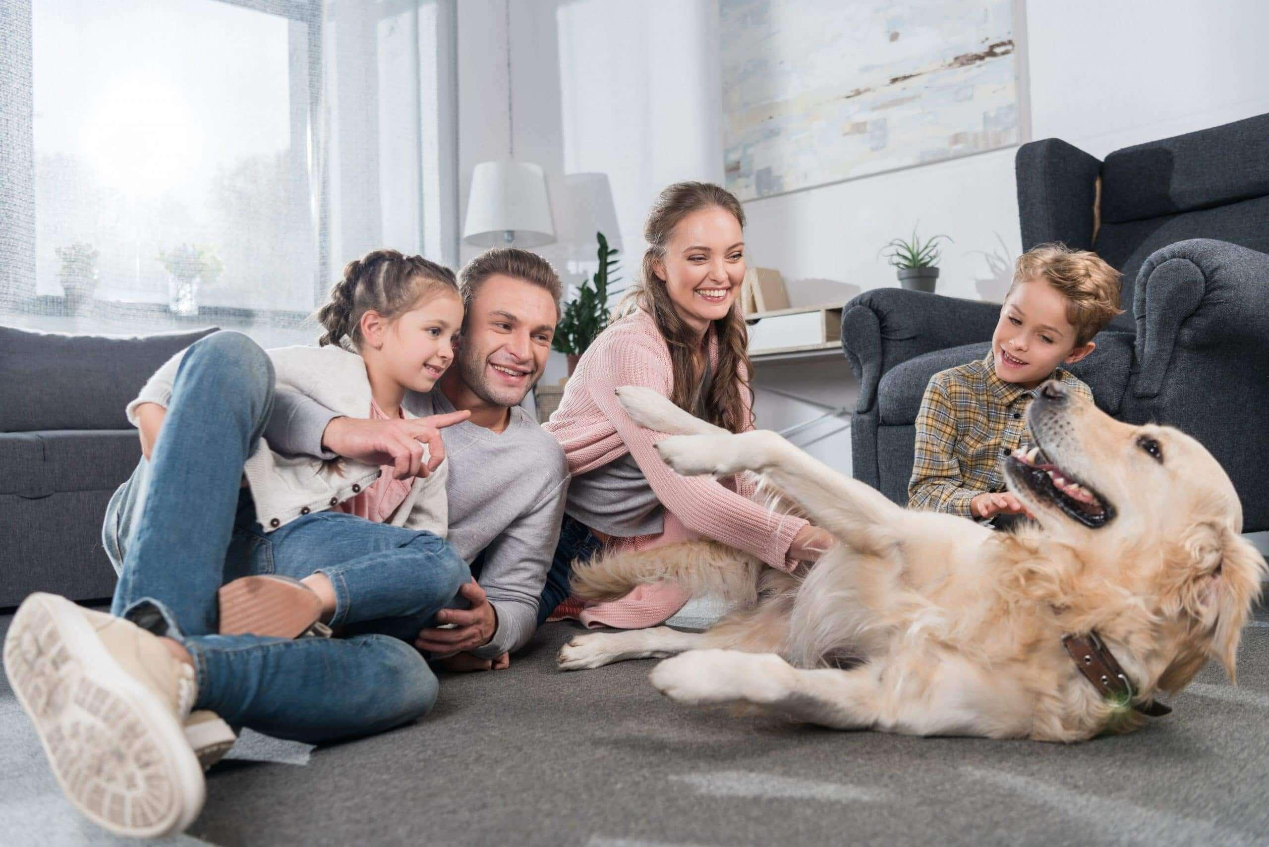 Family-Safe and Pet-Friendly Pest Control Treatments in Toronto